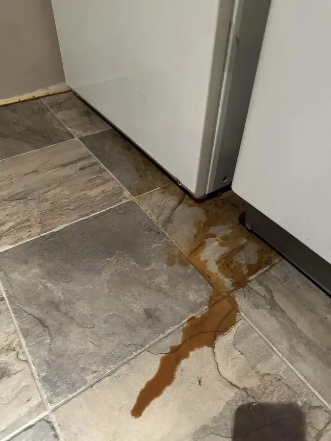 Water pooling on the tile floor beneath a refrigerator
