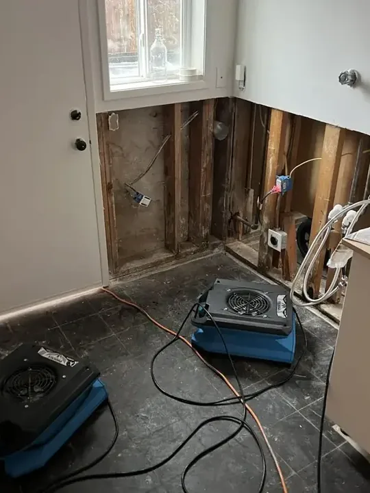 Flood cut and air mover drying the wall cavity in a laundry room