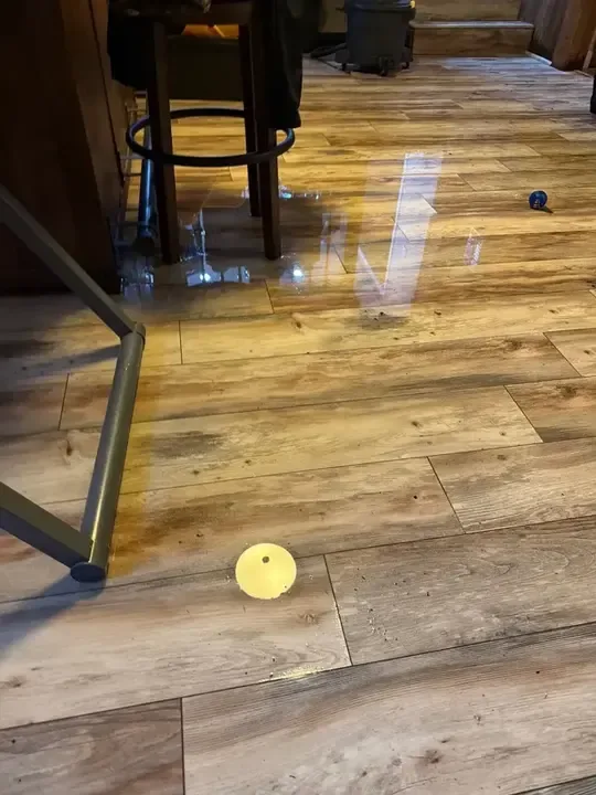 Standing water across a wood-look floor after a leak