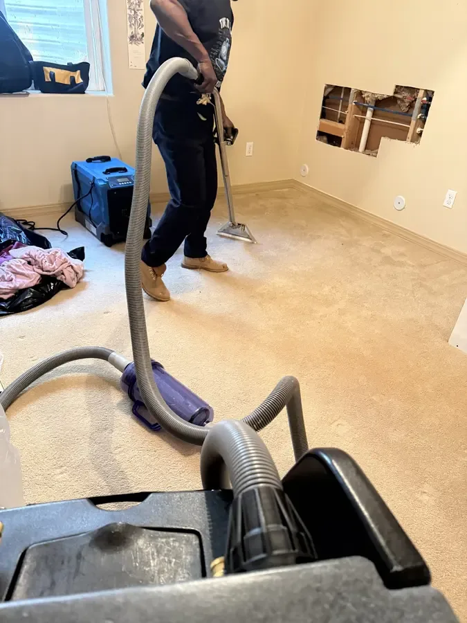 A technician running an extraction wand across wet carpet, hose fed from a portable extractor